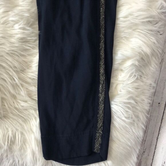 Xirena Draper Stripe Pants Small - Picture 6 of 7